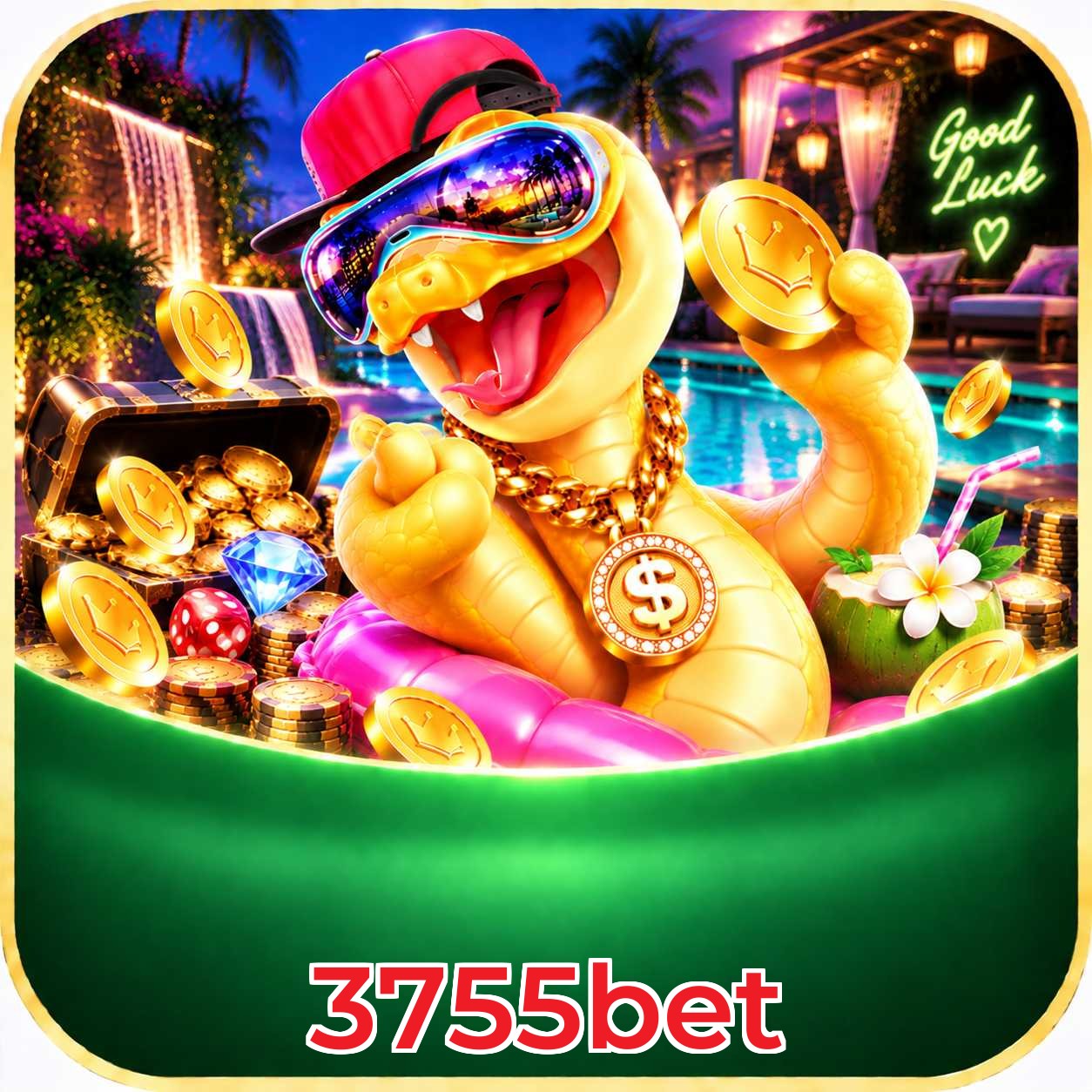3755bet Performance